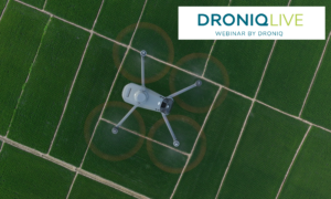 DRONIQlive-Aufzeichnung: Kennartenbestimmung